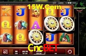 Sinta a adrenalina dos jogos de cassino com Cncbet